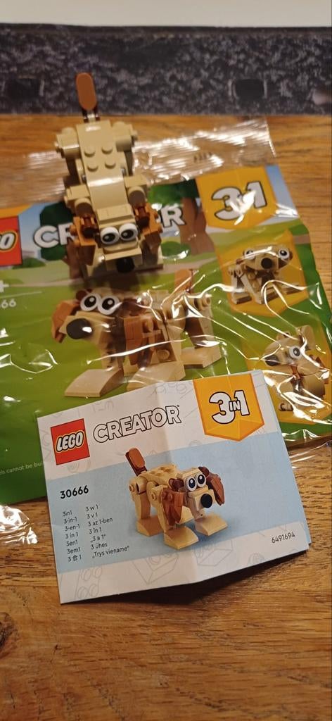 Lego creator 3 in 1 met boekje erbij 30666, Enlèvement, Lego, Creator