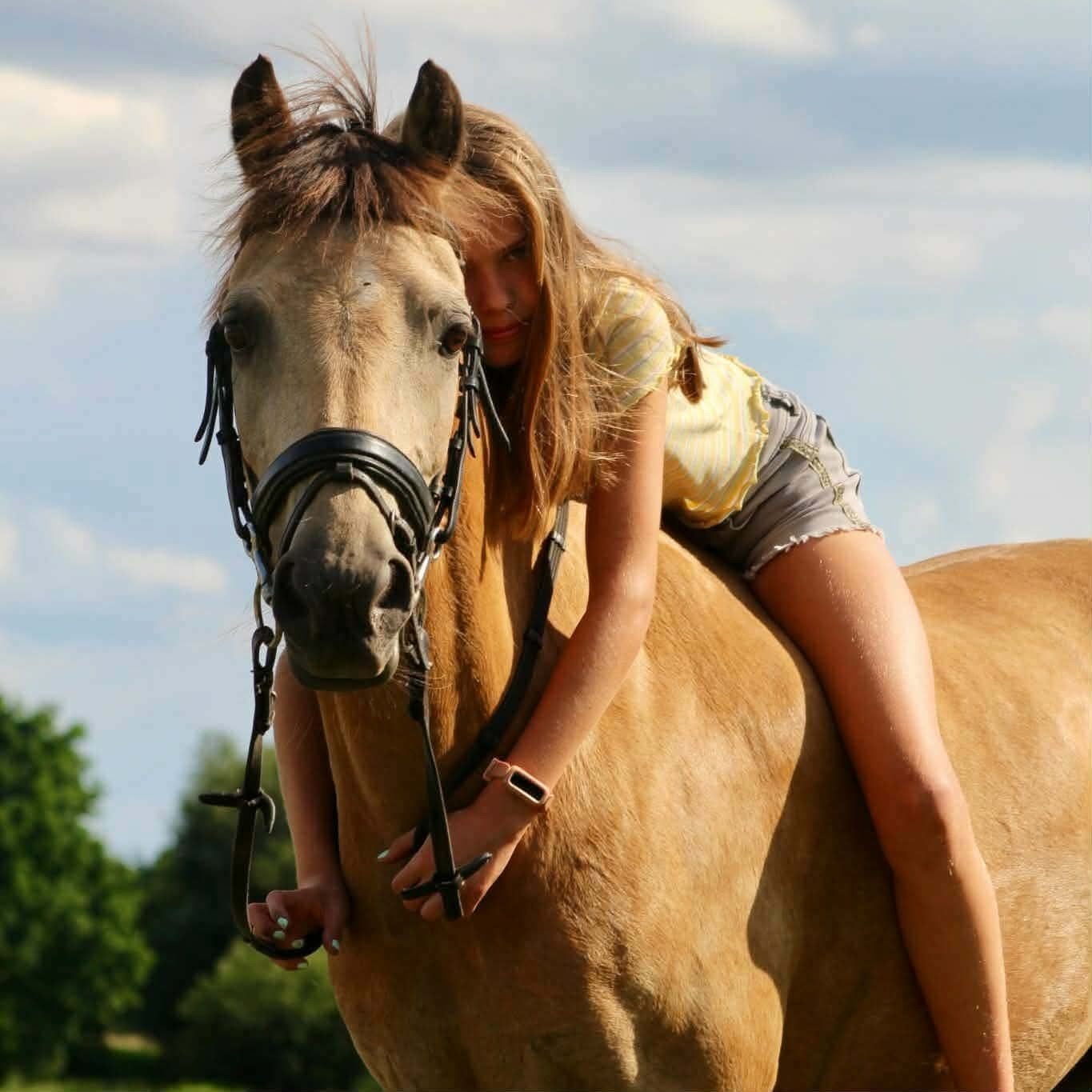 B pony te koop, Animaux & Accessoires, Poney B (1.17 m à 1.27 m), 11 ans ou plus, L, Poney de saut