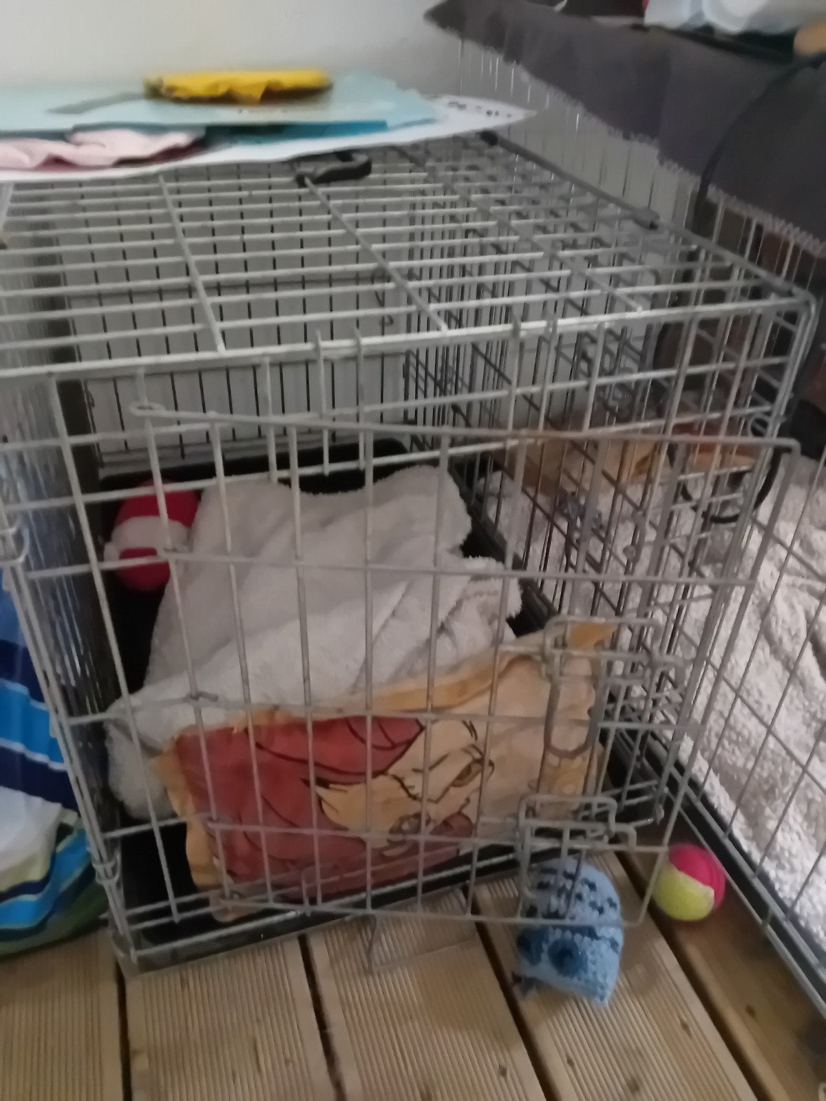 Cage pour chien, Enlèvement
