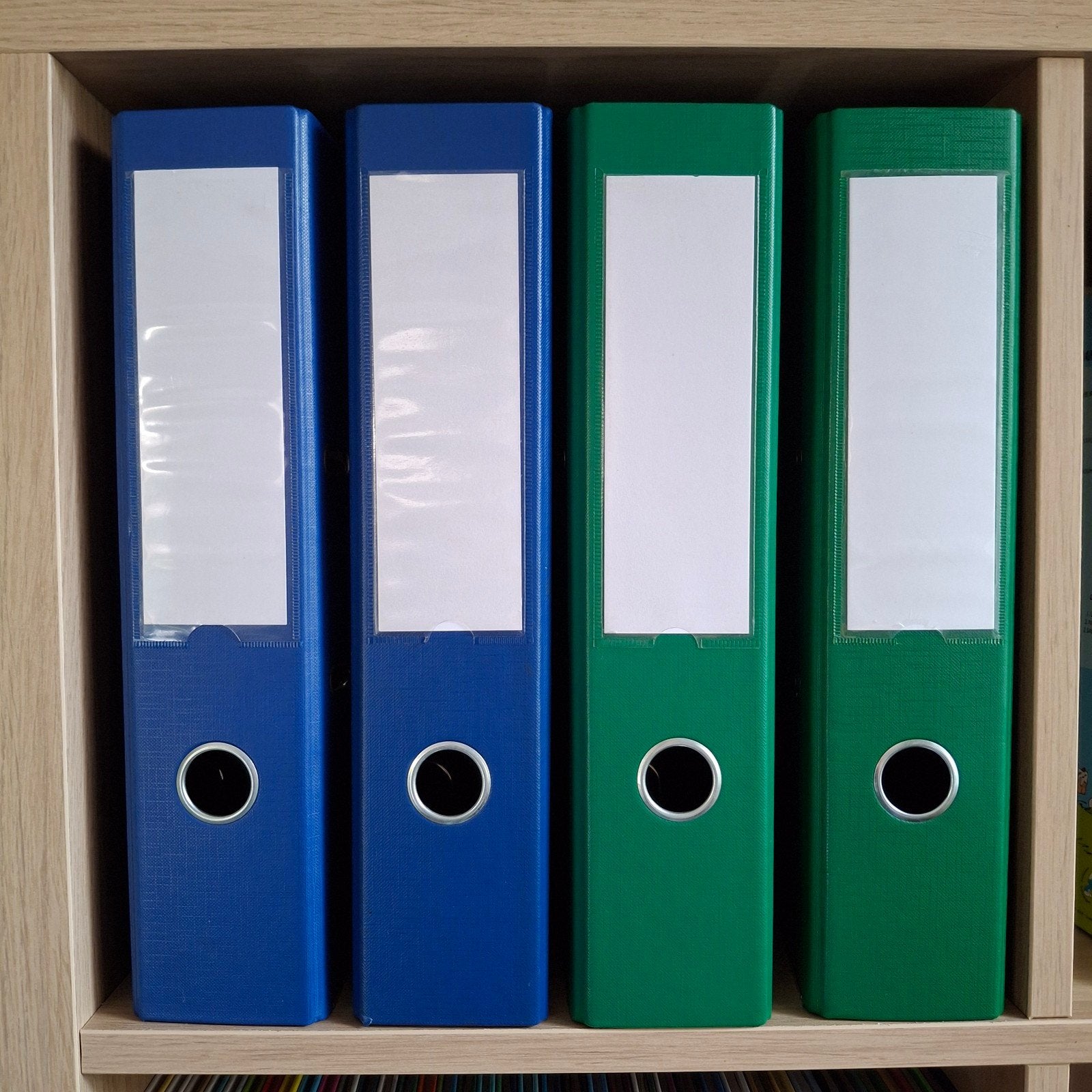 Lot de 4 classeurs A4 Esselte bleu vert 2 anneaux dos 7.5, Ophalen, Zo goed als nieuw, Boek, Zakelijk