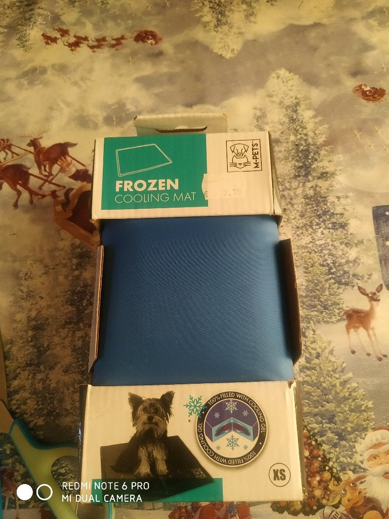 Accessoires neuf pour chaton, Dieren en Toebehoren, Katten-accessoires, Ophalen, Nieuw