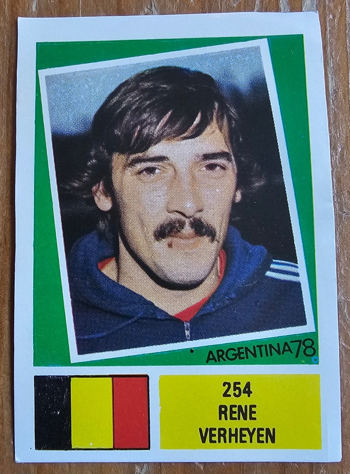 FKS (panini like) Argentina 78 #254 Rene Verheyen Voetbal!, Ophalen of Verzenden