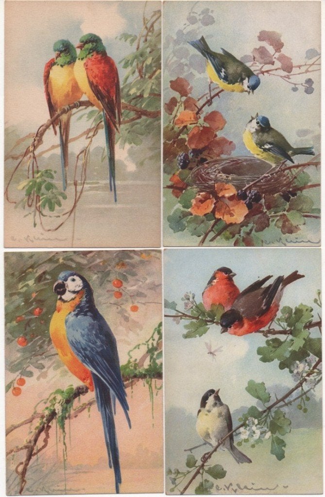 OISEAUX - STEHLI, Collections, Enlèvement ou Envoi, Avant 1920, Non affranchie