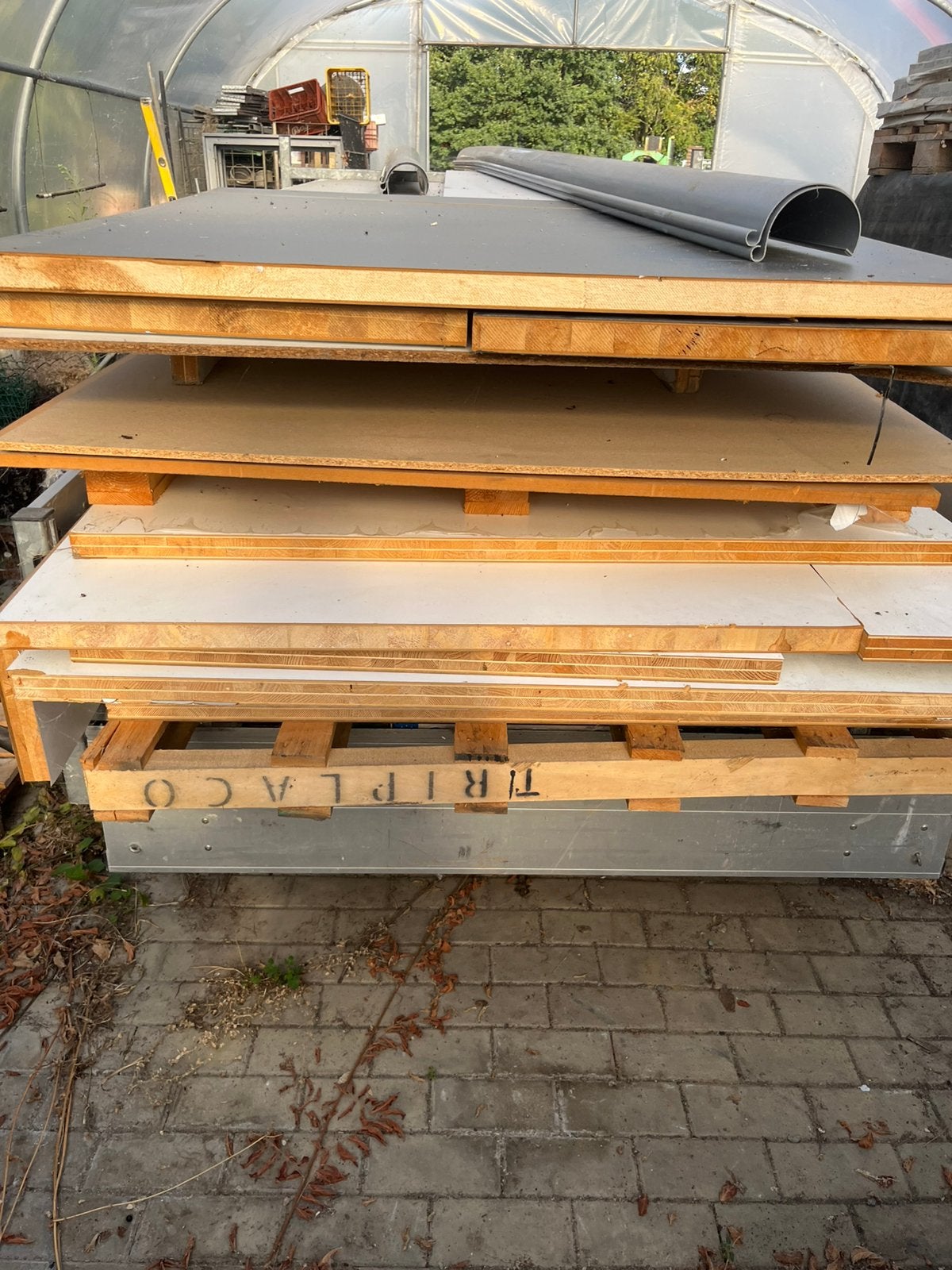 Lot d'assiettes blanches, Enlèvement, Neuf, Bois, 20 à 50 mm