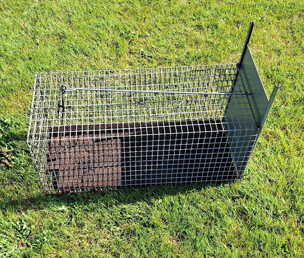GROTE VANGKOOI - RATTENVAL  63 X 27 X 27, Jardin & Terrasse, Pesticides, Enlèvement, Comme neuf, Lutte antiparasitaire