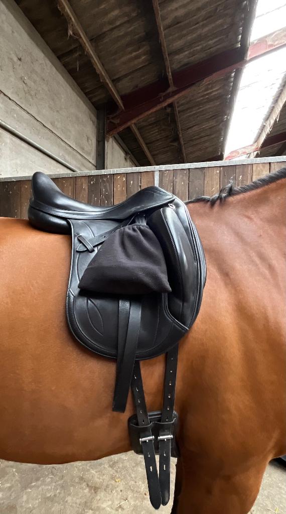 Selle de dressage Équipe modèle Olympia (2019) – 17", Enlèvement ou Envoi, Comme neuf