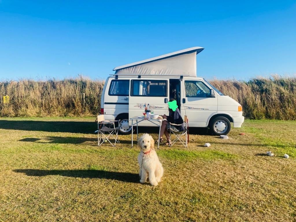 VW T4 Westfalia – Oldtimer entretenu – CT 2026, Caravans en Kamperen, Mobilhomes, Automaat, Hefdak, Koelkast, Volkswagen