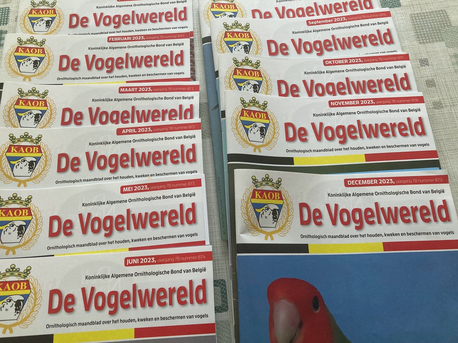 De vogelwereld, Boeken, Tijdschriften en Kranten, Ophalen, Zo goed als nieuw, Glossy