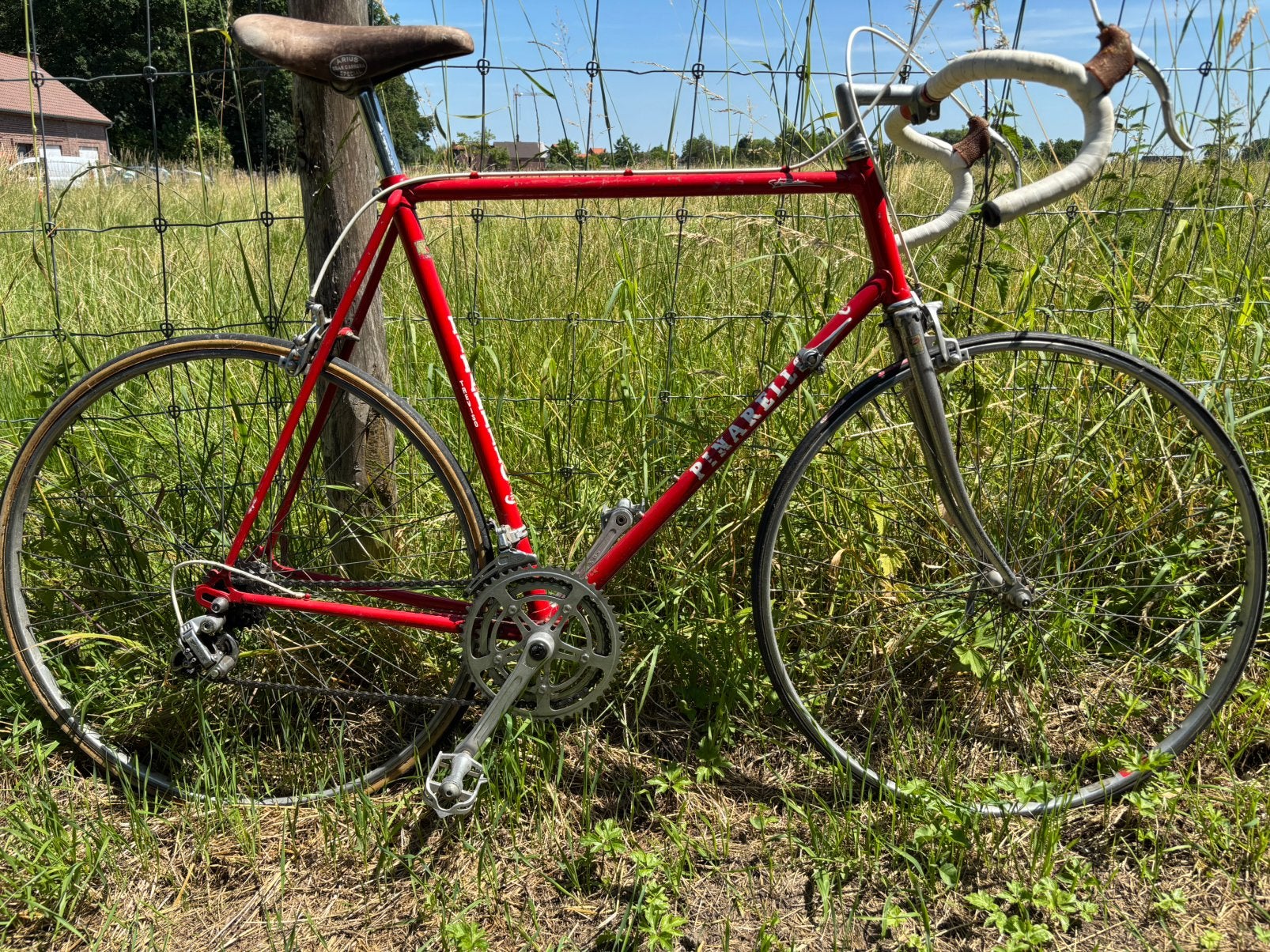 Vélo de route Pinarello Treviso Shimano Altus taille 59, Enlèvement