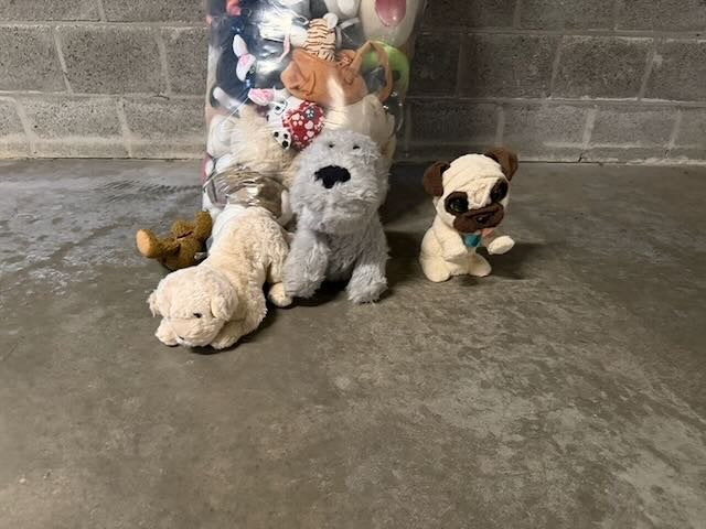 pluche knuffels / dieren / beertjes, Ophalen, Overige merken, Overige karakters, Overige typen