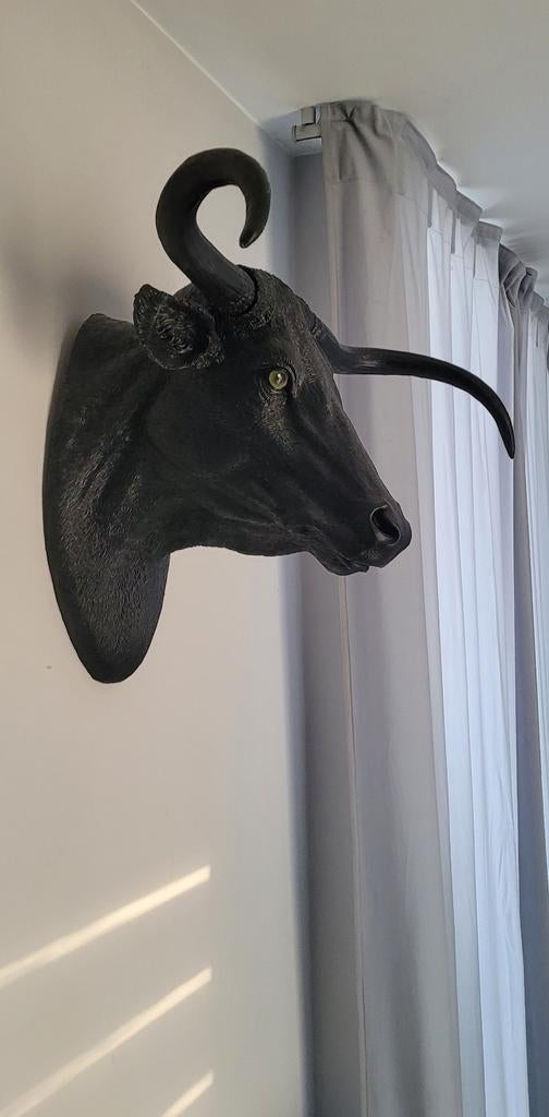 Superbe tête de vache decorative en résine., Enlèvement