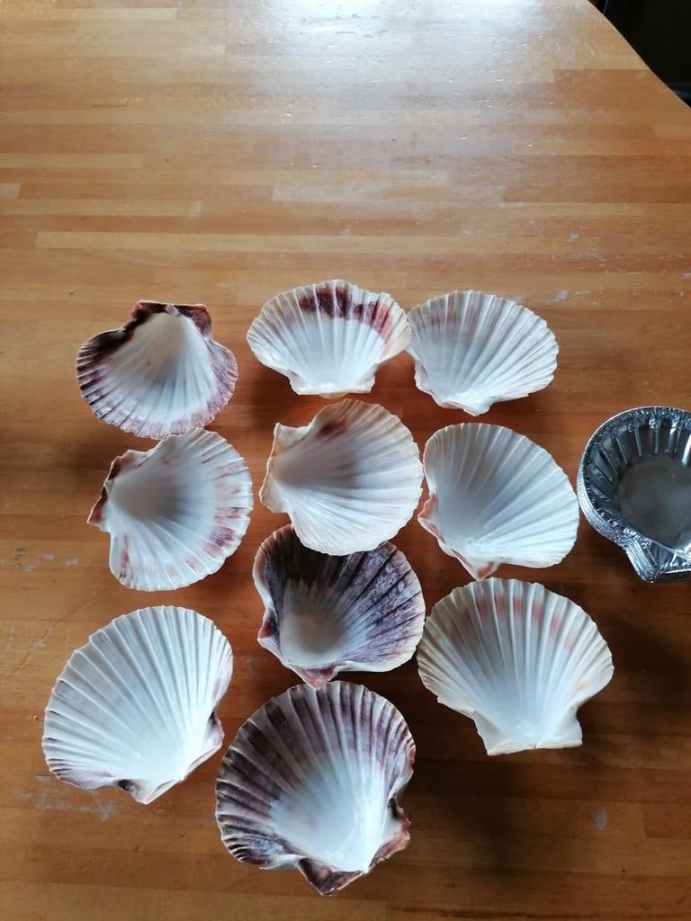 Coquilles pour poissons et crustacés, Maison & Meubles, Enlèvement