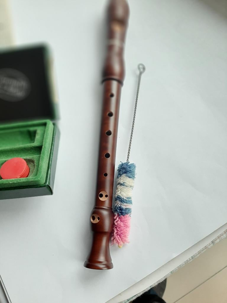 enregistreur, Musique & Instruments, Instruments à vent | Flûtes à bec, Enlèvement, Utilisé, Soprano ou Sopranino, Avec valise, étui ou housse