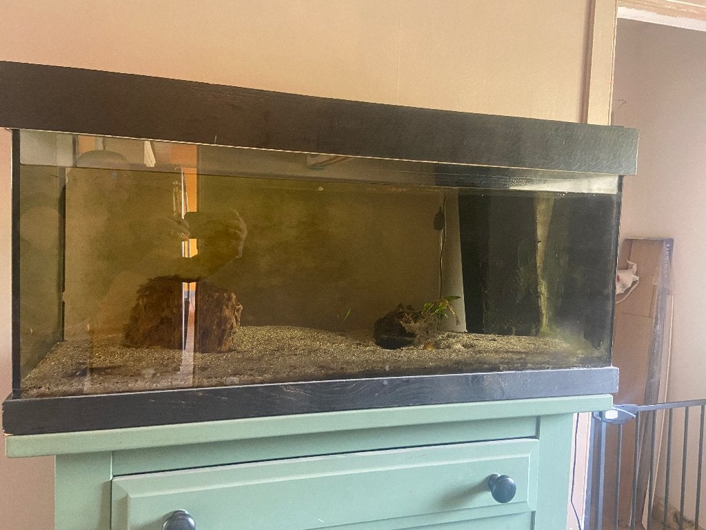 Aquarium avec accessoires, Enlèvement, Utilisé