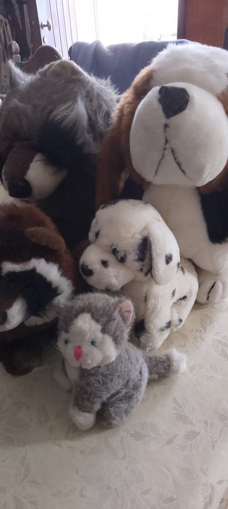 knuffels : beesten, Enlèvement, Utilisé, Garçon ou Fille