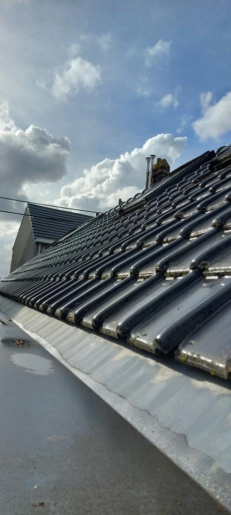 Pottelberg Dakpan/stormpan antraciet, Doe-het-zelf en Bouw, Ophalen