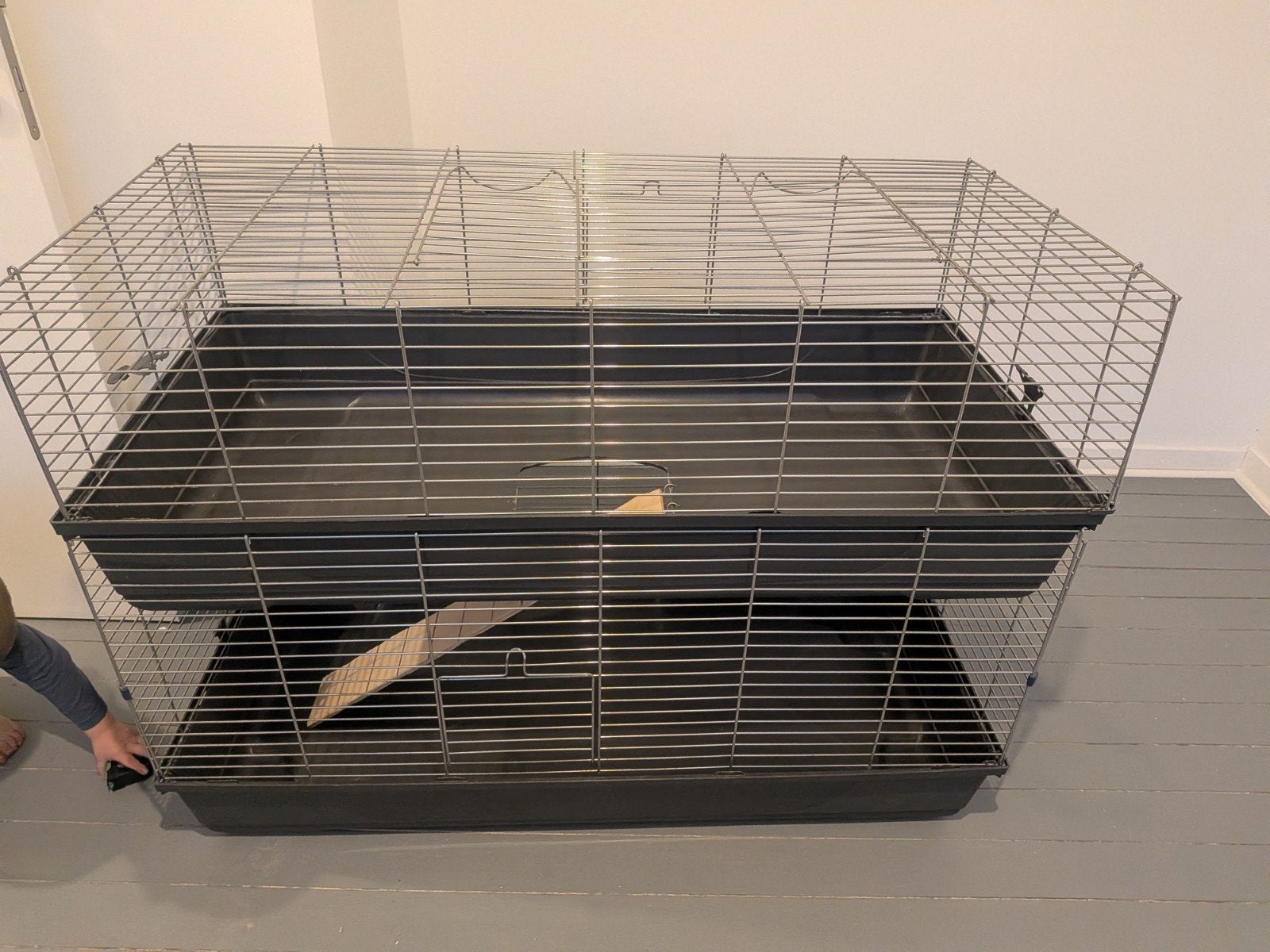 cage rongeur, Enlèvement, Cage