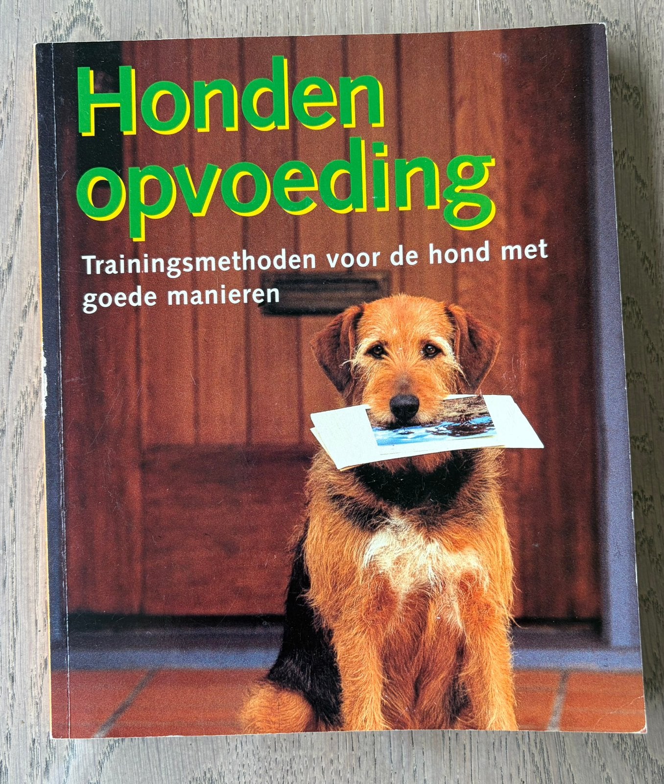 Honden opvoeden, Livres, Animaux & Animaux domestiques, Enlèvement, Comme neuf, Chiens