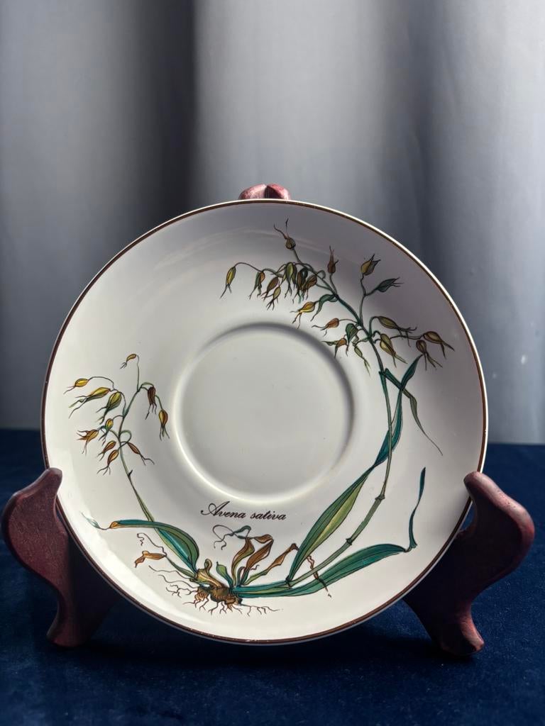 Villeroy & Boch « Botanica » — Plat à avoine, Antiquités & Art, Antiquités | Céramique & Poterie, Enlèvement ou Envoi