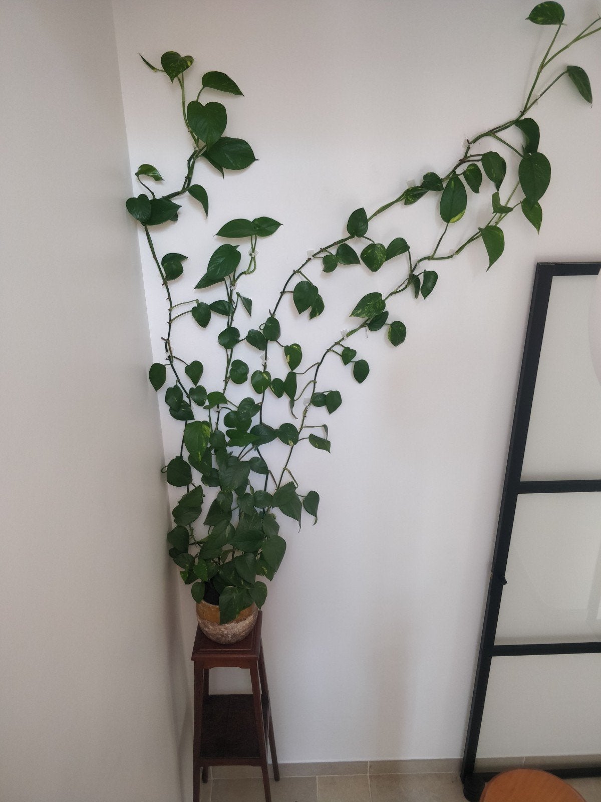 tafeltje + plant + vaas, Enlèvement