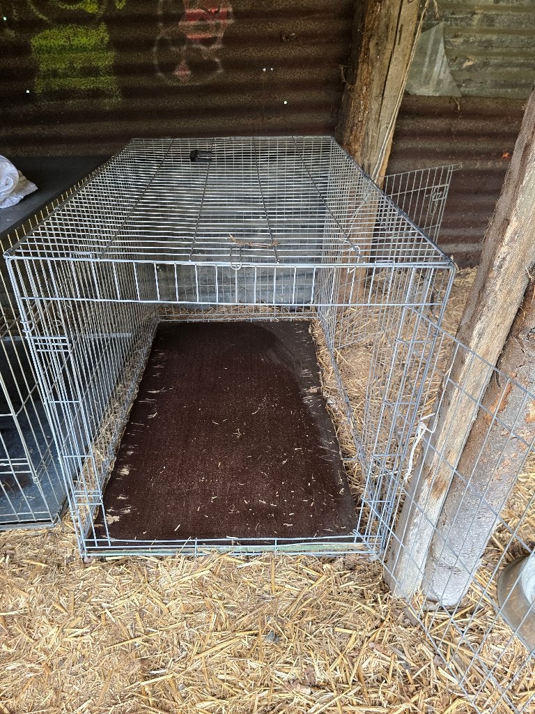 Cage grand chien, Animaux & Accessoires, Enlèvement, Utilisé, Niche à chien