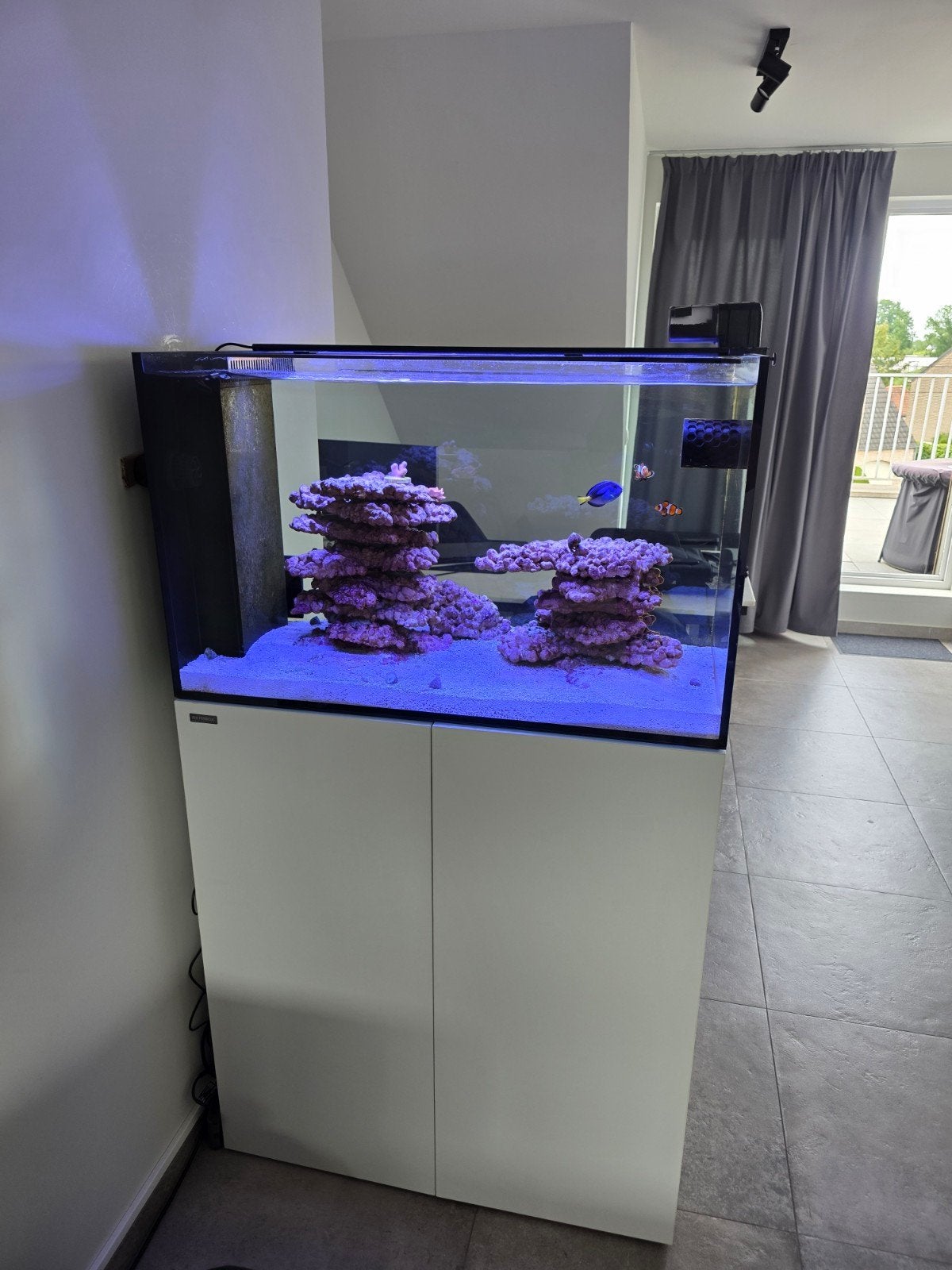 Peninsula zeewater aquarium 90 x 55 x 50, Animaux & Accessoires, Poissons | Aquariums & Accessoires, Tuyaux inclus, Aquarium d'eau de mer rempli