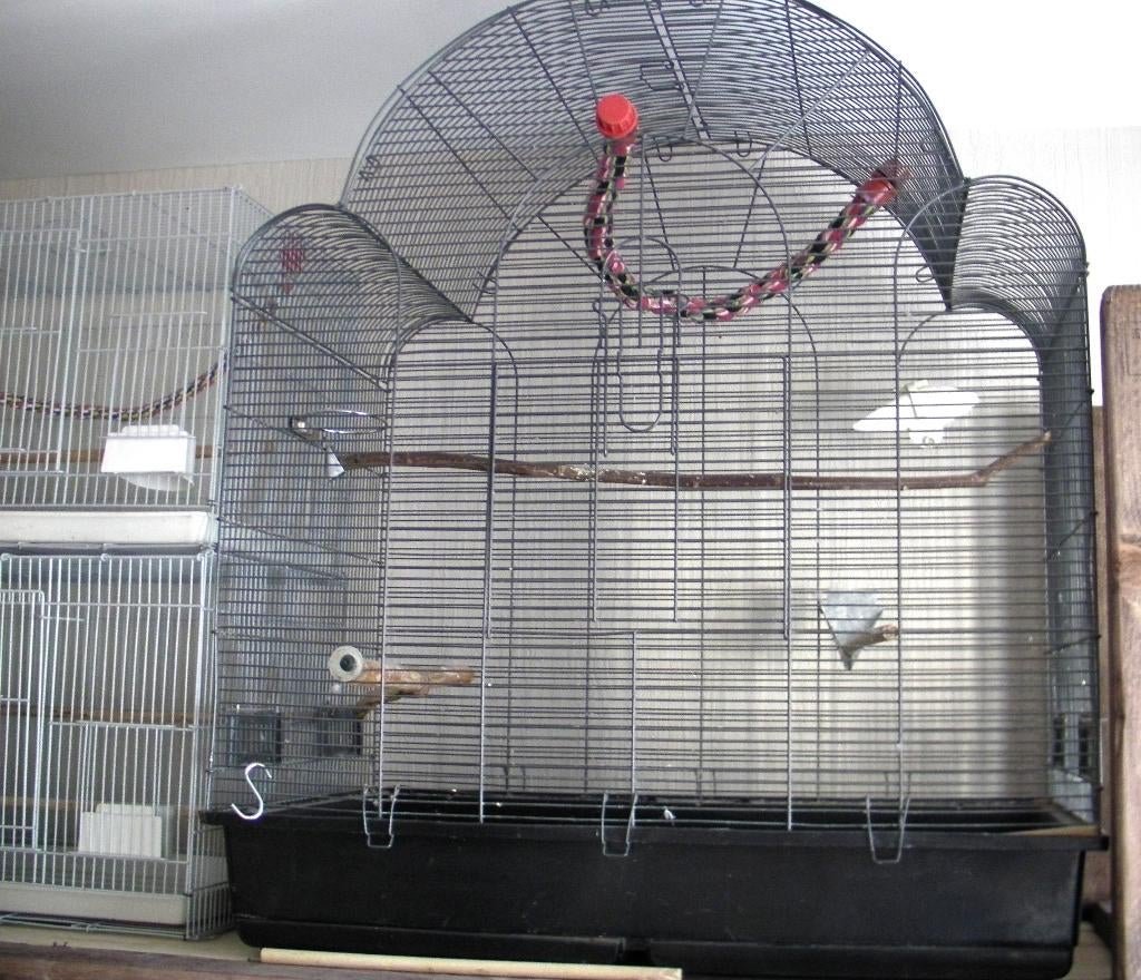 Grande cage, Enlèvement, Utilisé, Métal, Cage à oiseaux