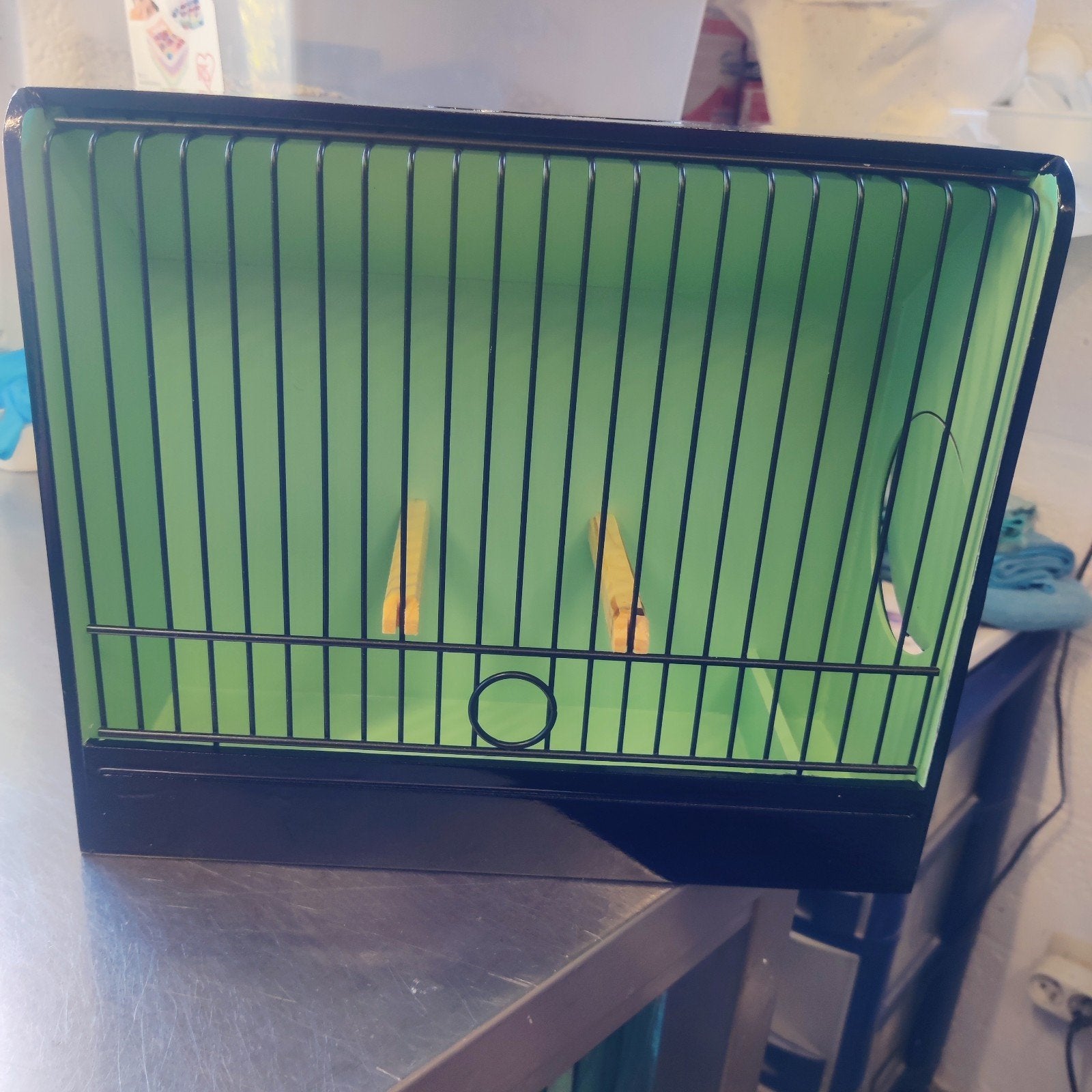 cages glosters à vendre/ te koop, Enlèvement ou Envoi, Neuf