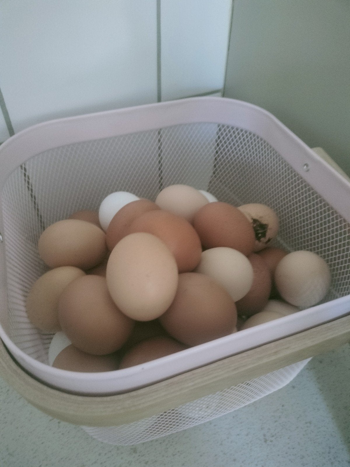 Verse scharreleieren vrije uitloop, Ophalen