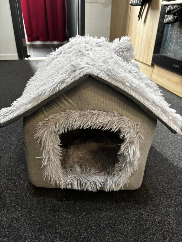 Chat & chien, Enlèvement, Comme neuf