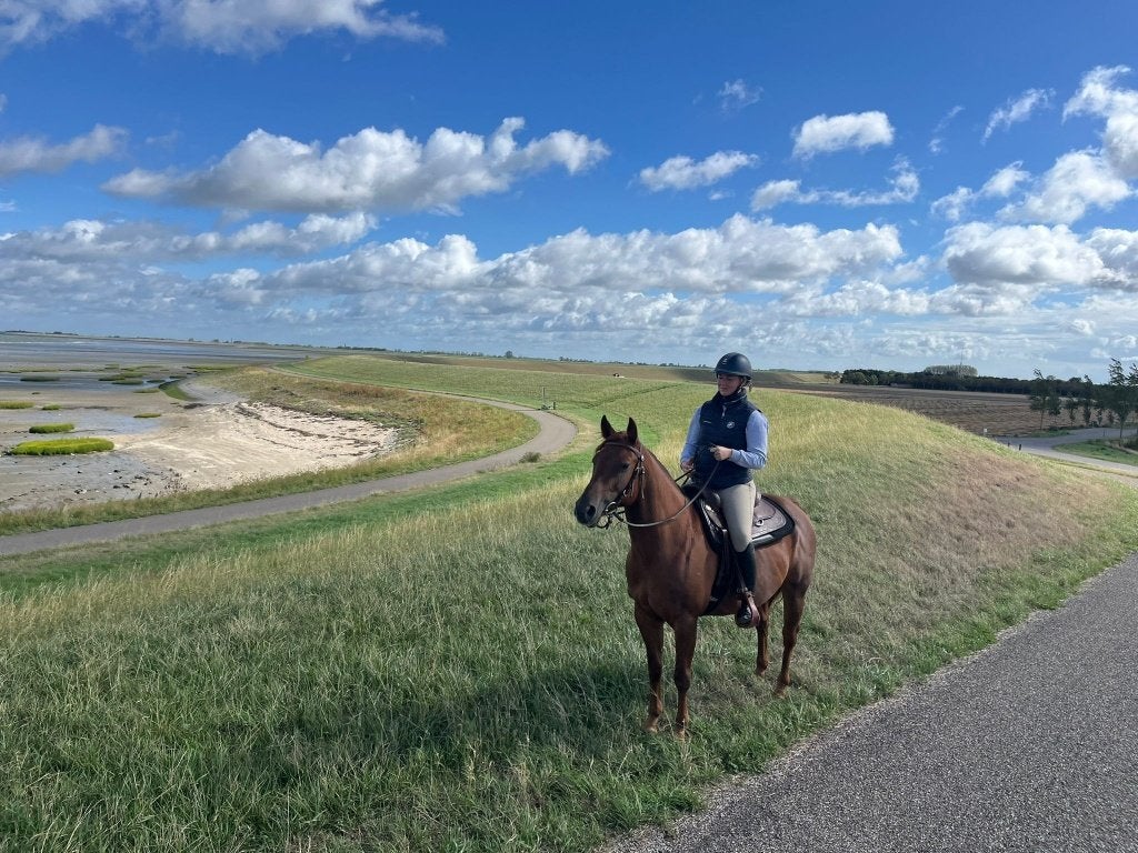 Prachtige 5-jarige Quarter Horse merrie, Dieren en Toebehoren, Paarden, Merrie, ZZ, Minder dan 160 cm, Met stamboom
