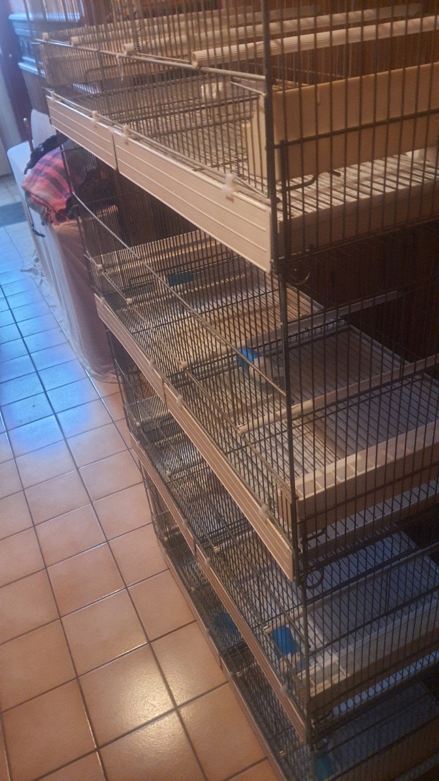 cage elevage, Animaux & Accessoires, Enlèvement