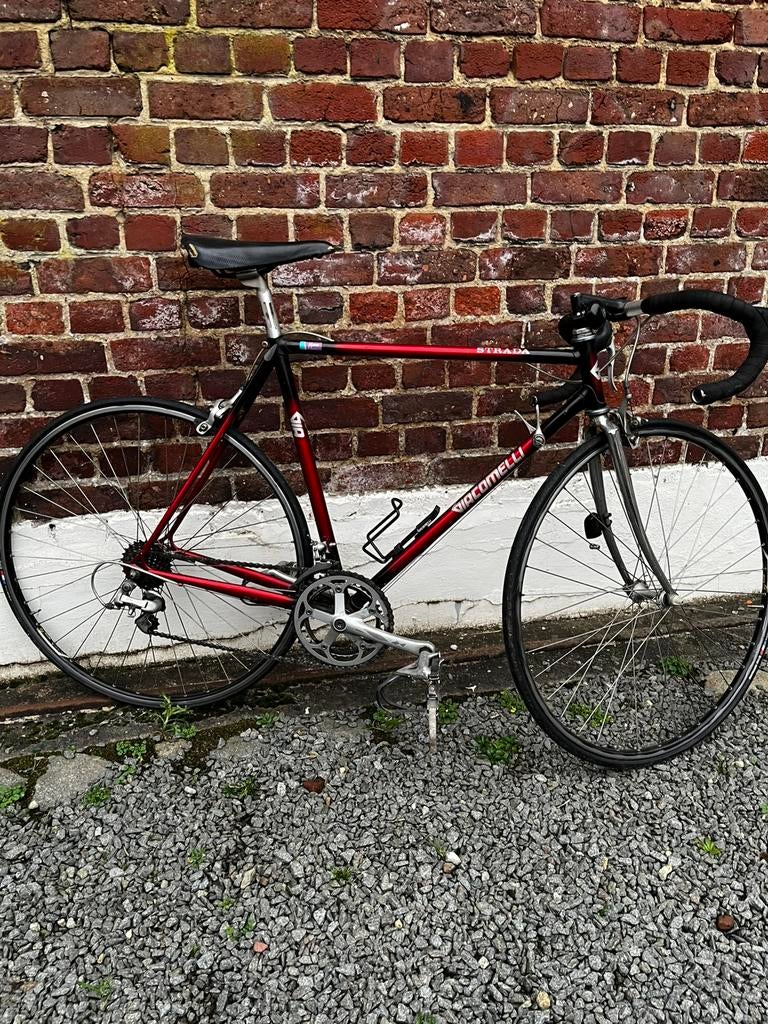 Giacomelli Strada (M), 51 tot 55 cm, Ophalen