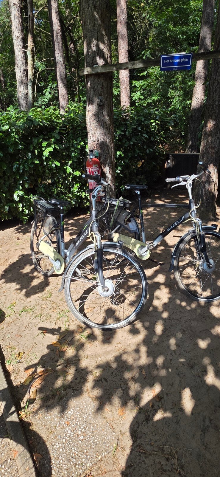 Elektrische fietsen Gazelle Championix plus, Vélos & Vélomoteurs, Vélos | Vélos pliables, Hommes, Gazelle, Enlèvement