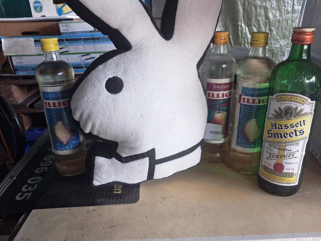 He drink je mee ? Playboy Logo, Ophalen, Zo goed als nieuw, Amerika