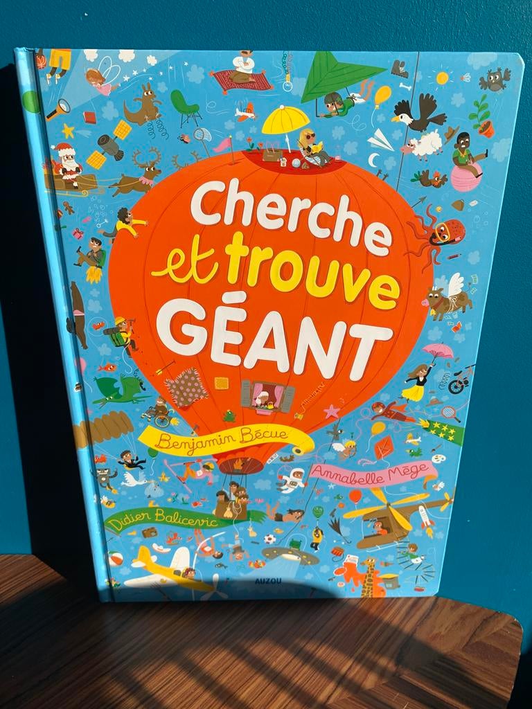 Livre Cherche et trouve geant, Livres, Enlèvement, Comme neuf