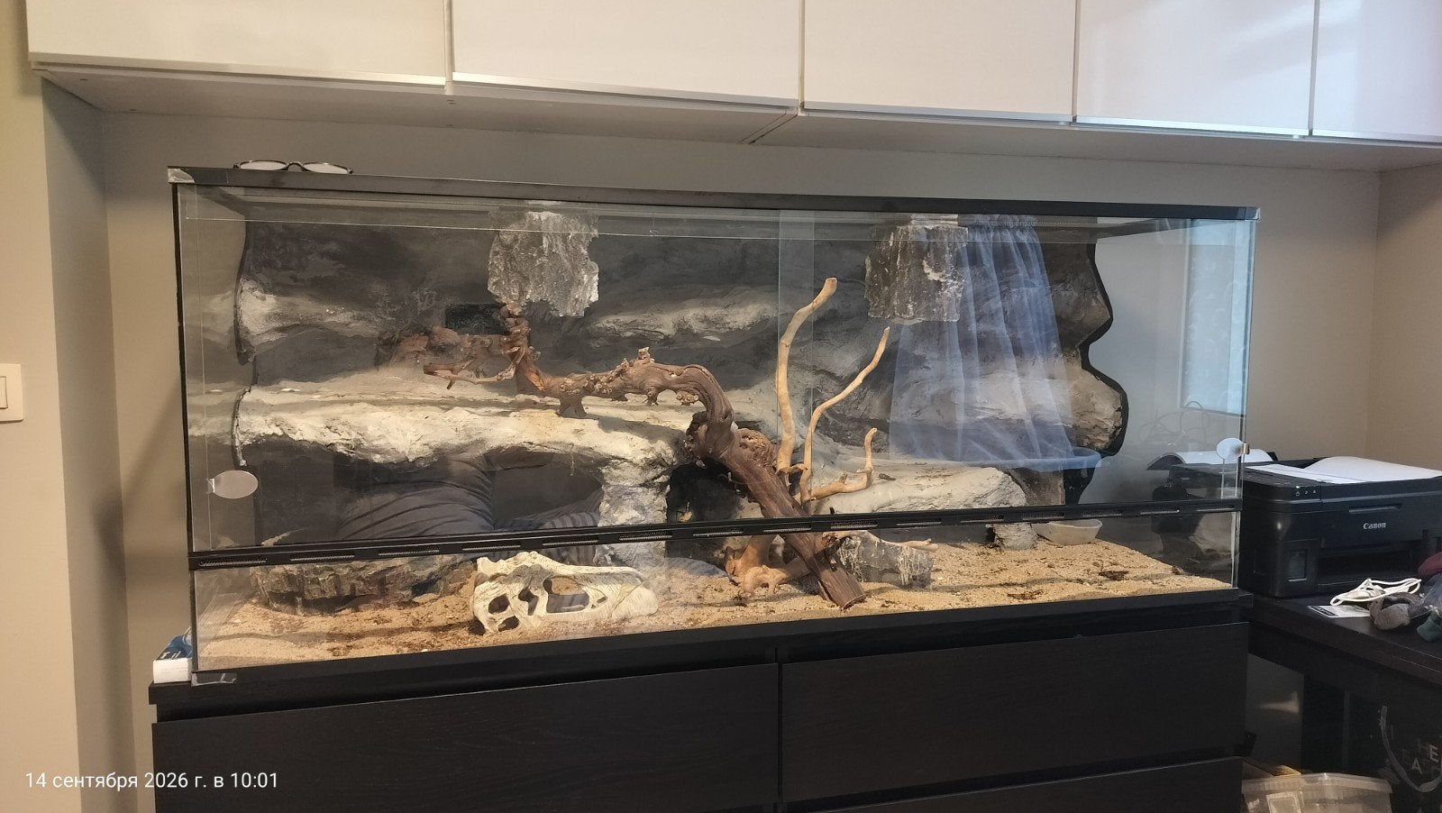 Groot glazen terrarium 151x61,5x60 cm. met 3D achterwand, Dieren en Toebehoren, Ophalen, Gebruikt, Terrarium of Paludarium