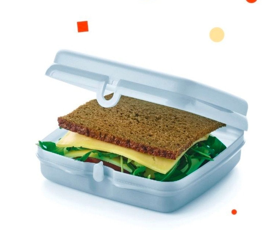 Boîte à sandwich écologique Tupperware, Maison & Meubles, Cuisine| Tupperware, Enlèvement ou Envoi