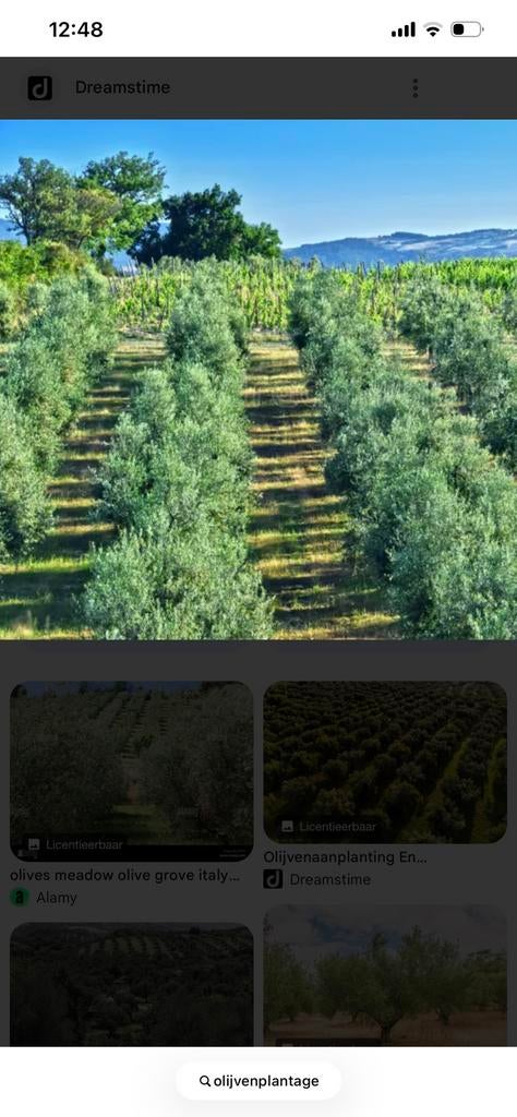 Agrarisch grond marokko, Zakelijke goederen, Ophalen of Verzenden, 5 tot 20 ha