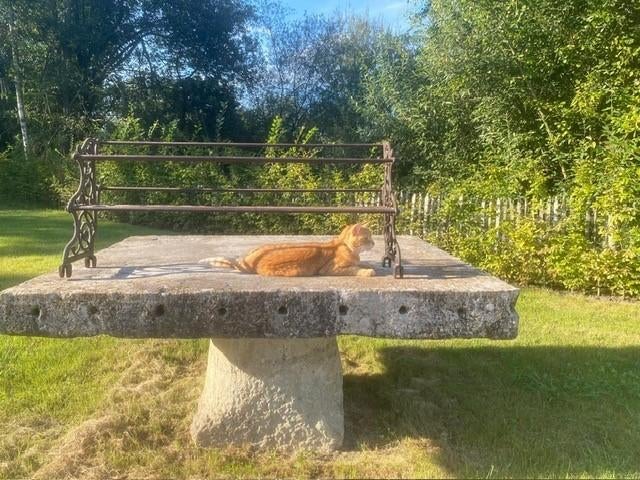 ANTIEK BAKKERSREK OPZETKAST, Ophalen