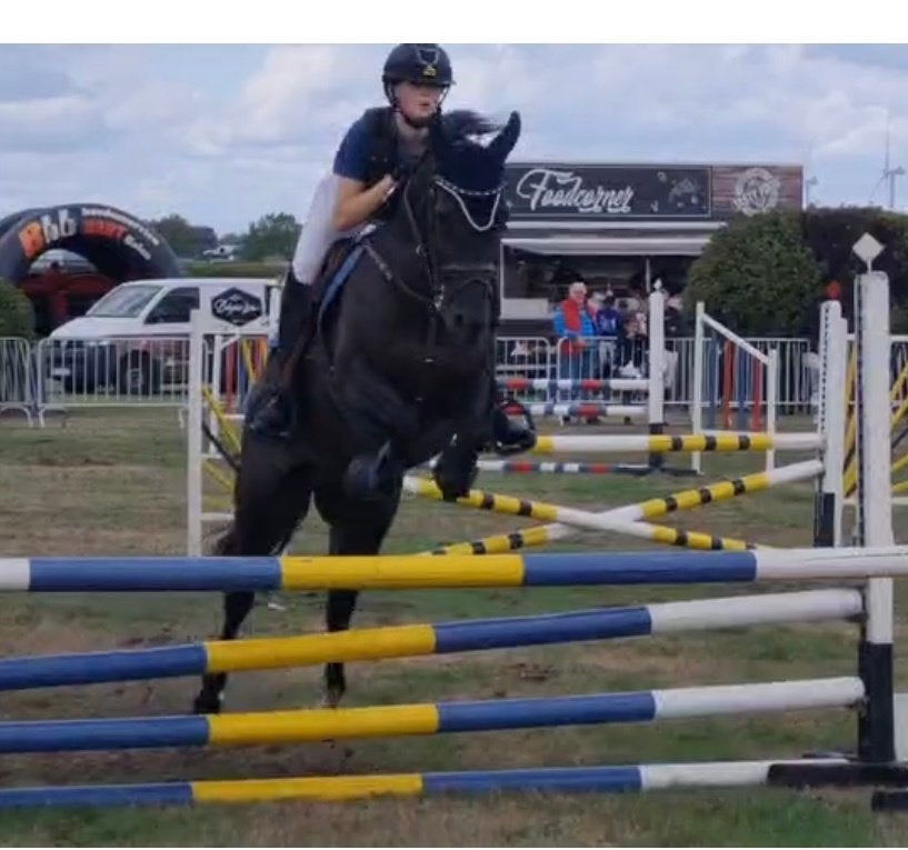 Talentvolle pony zoekt nieuwe ruiter/amazone, Dieren en Toebehoren, Merrie, Springpony, 7 tot 10 jaar, D pony (1.37m tot 1.48m)