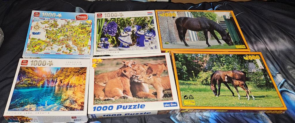 LOT 6 puzzels 2 puzzels open en 4 nieuw puzzels, Hobby & Loisirs créatifs, Sport cérébral & Puzzles, Enlèvement, Neuf, Autres types