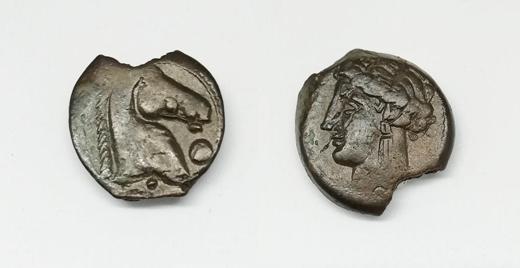 Munt van Carthago, Sicilië en Sardinië, Ophalen of Verzenden, Overige landen, Losse munt