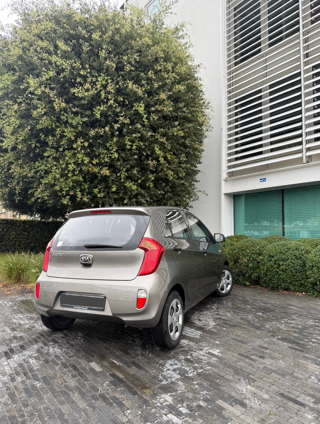 Kia Picanto | 1.2 essence | 85ch | GARANTIE 12 MOIS, Euro 5, Achat, Barres de toit, Entreprise