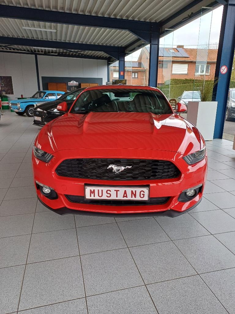 Ford Mustang Coupé, Voorwielaandrijving, 4 zetels, 4 cilinders, 233 kW