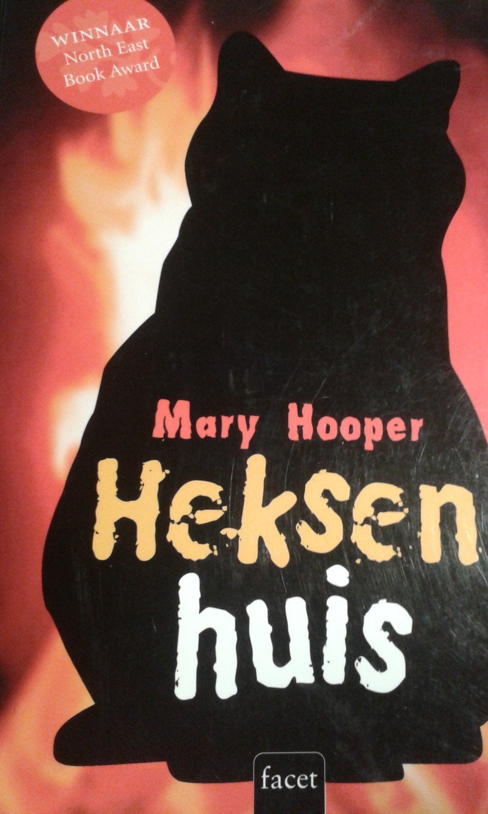 Nouveau livre : WITCH HOUSE, Livres, Enlèvement ou Envoi, Neuf, Mary Hooper