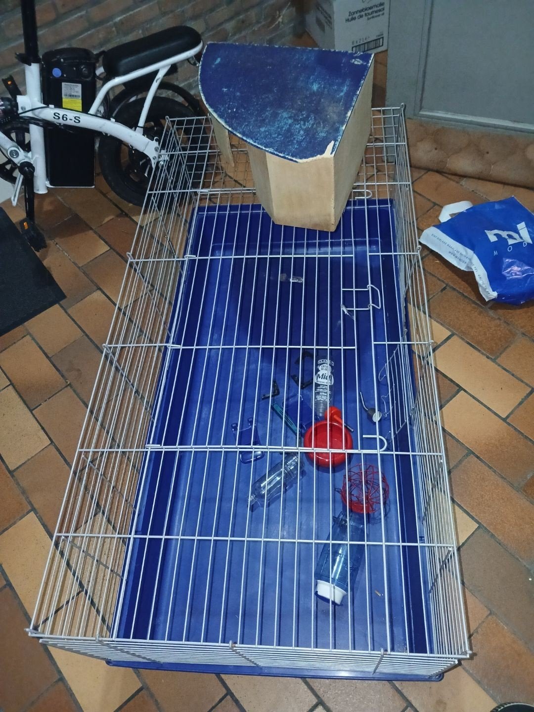 hartje van hamster wilde kopen stuurt naar mij, Enlèvement ou Envoi, Hamster