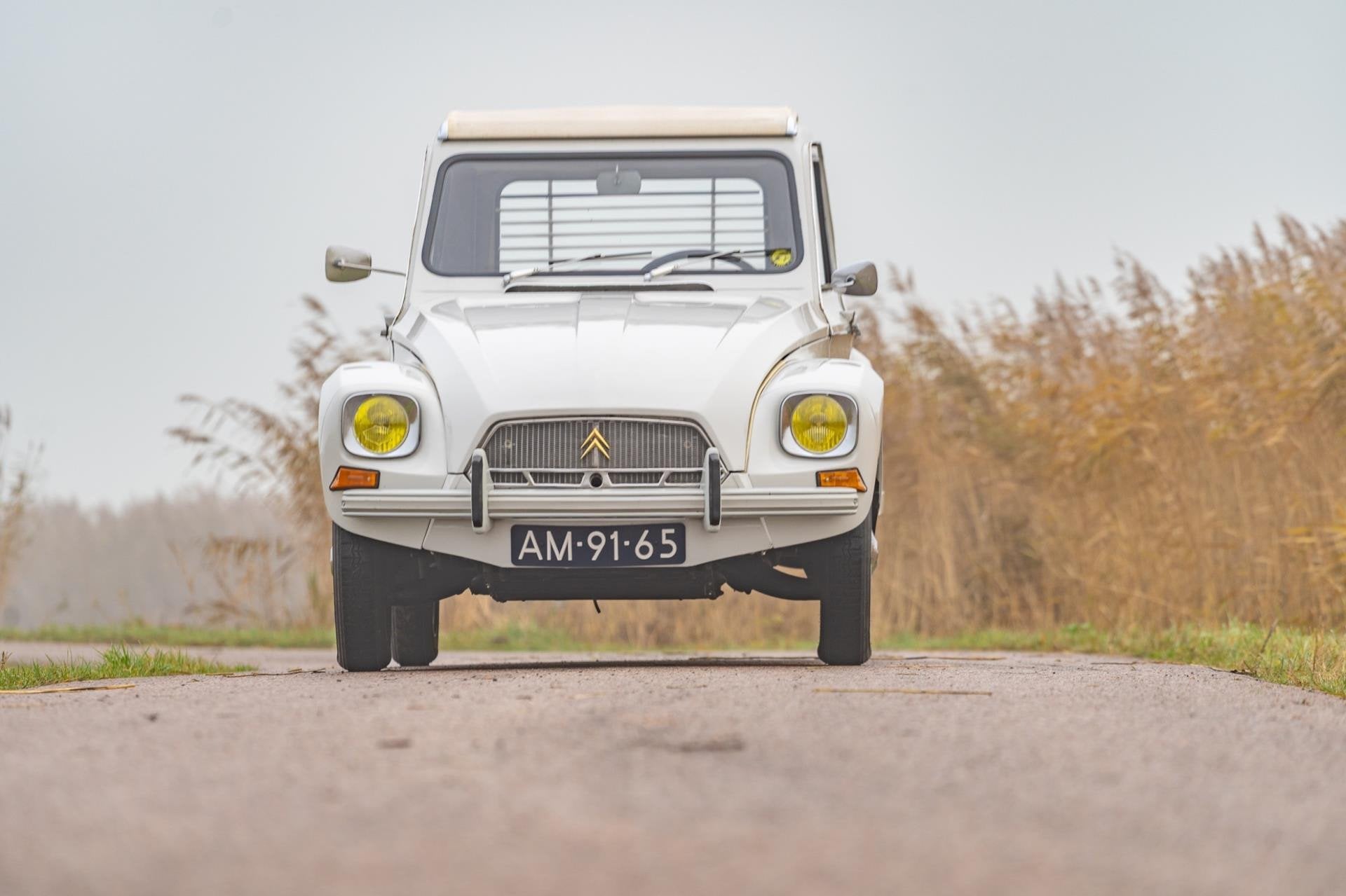 Citroën Dyane, Autos, Oldtimers & Ancêtres, Achat, 4 portes, Citroën, 22 ch