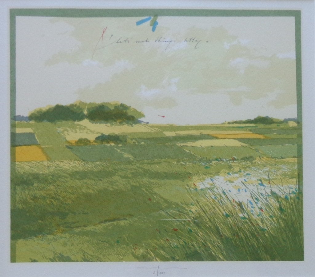 MARTIN R. BAEYENS / THINGS BETTER / KLEURLITHO 42x52cm KADER, Antiek en Kunst, Gesigneerd, Ophalen of Verzenden