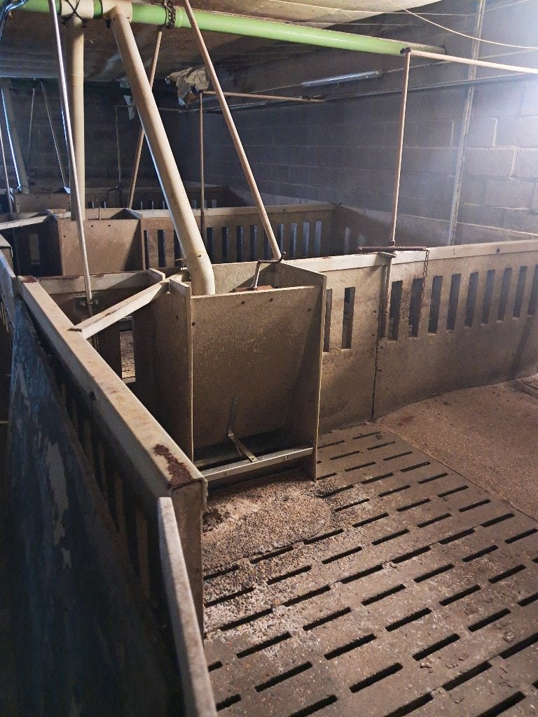 Hokinrichting varkens, Dieren en Toebehoren